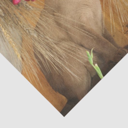 Siamese kat met bloemen ontkoppeling tissuepapier (Detail)