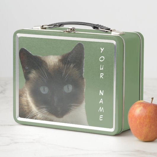 Siamese kat met Bright Blue Eyes Green Lunchbox (In situ)