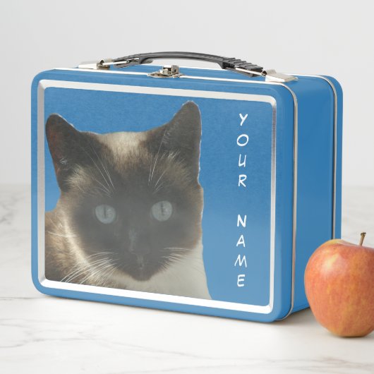 Siamese kat met Bright Blue Eyes Lunchbox (In situ)
