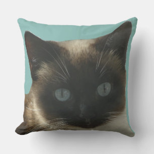 Siamese kat met Bright Blue Eyes Pillow Kussen