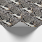 Siamese kat met luipaard — Wilde dierenvlekken afd Cadeaupapier (Hoek)