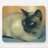 Siamese kat muismat (Voorkant)