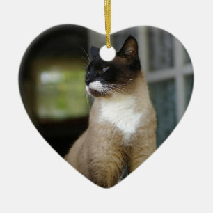 Siamese kat op de Porch Keramisch Ornament