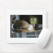 Siamese kat op de Porch Muismat (Met muis)
