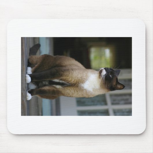Siamese kat op de Porch Muismat (Voorkant)