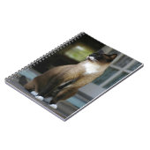 Siamese kat op de Porch Notitieboek (Linkerzijde)