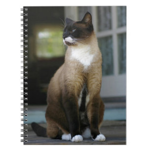 Siamese kat op de Porch Notitieboek