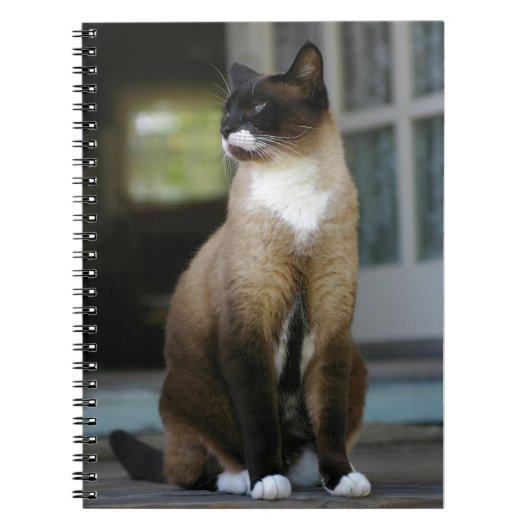 Siamese kat op de Porch Notitieboek (Voorkant)