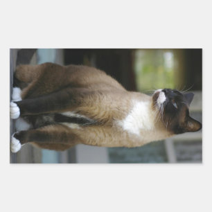 Siamese kat op de Porch Rechthoekige Sticker