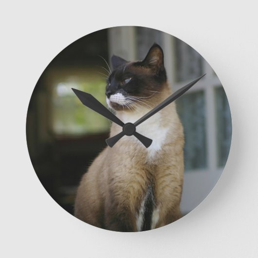 Siamese kat op de Porch Ronde Klok (Voorkant)