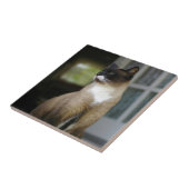 Siamese kat op de Porch Tegeltje (Zijkant)