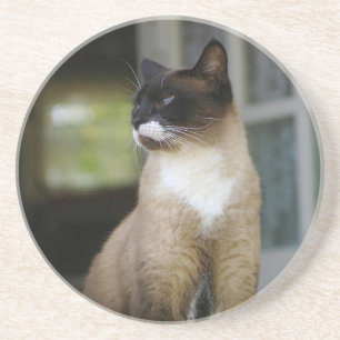 Siamese kat op de Porch Zandsteen Onderzetter