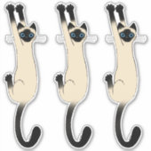 Siamese kat op | Funny Cat Stickers (Voorkant)