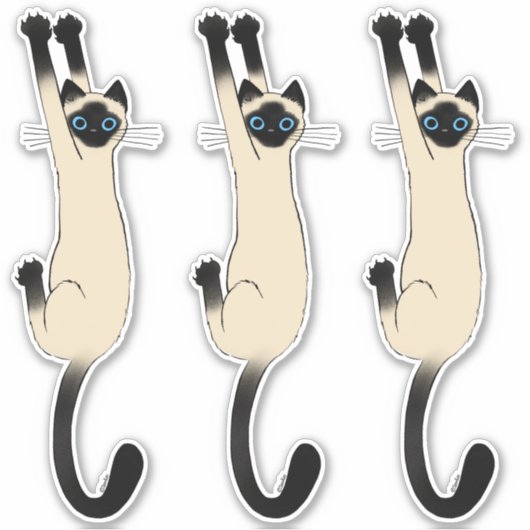 Siamese kat op | Funny Cat Stickers (Voorkant)
