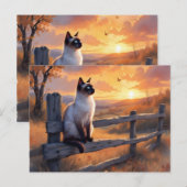 Siamese kat op hek briefkaart (Voorkant / Achterkant)