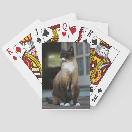 Siamese Kat op het Portiek Speelkaarten (Achterkant)