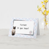 Siamese kat op speldenhuisdier verliest sympathie kaart (Gele Bloem)