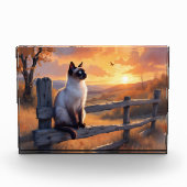 Siamese kat op split rail hek fotoblokken (Voorkant)