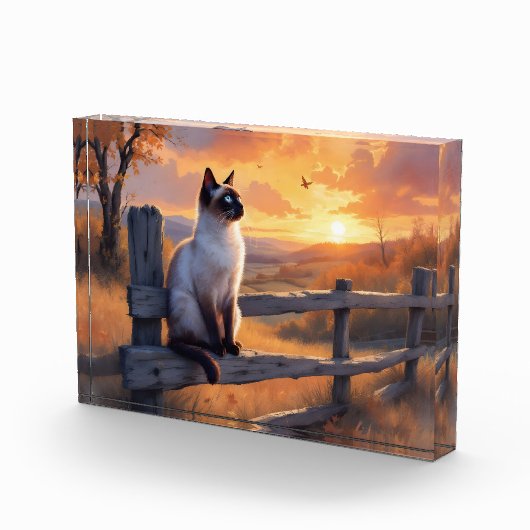 Siamese kat op split rail hek fotoblokken (Rechts)