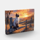 Siamese kat op split rail hek fotoblokken (Links)