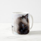 Siamese Kat Pet Mok Koffie Mok Cup (Voorkant rechts)