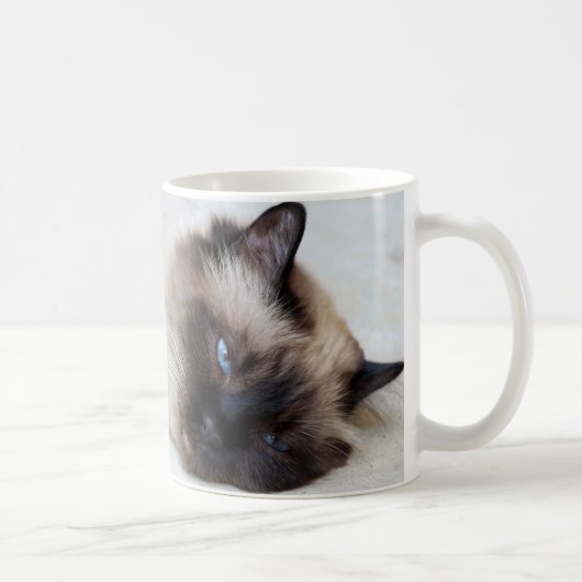 Siamese Kat Pet Mok Koffie Mok Cup (Rechts)