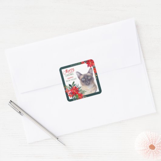 Siamese kat Poinsettia Border Kerstmis Vierkante Sticker (Envelop)