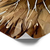 Siamese Kat Portret Poster (Hoek)