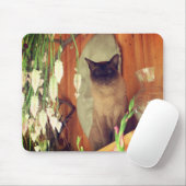 Siamese kat Posing #1 Muismat (Met muis)