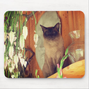 Siamese kat Posing #1 Muismat