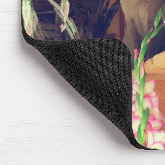 Siamese kat Posing #2 Muismat (Hoek)