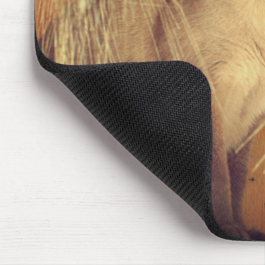 Siamese kat Posing #3 Dier Muismat (Hoek)