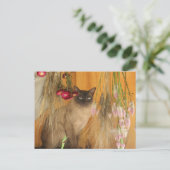 Siamese kat Posing Animal Fotografie Briefkaart #3 (Staand voorkant)