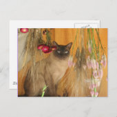 Siamese kat Posing Animal Fotografie Briefkaart #3 (Voorkant / Achterkant)