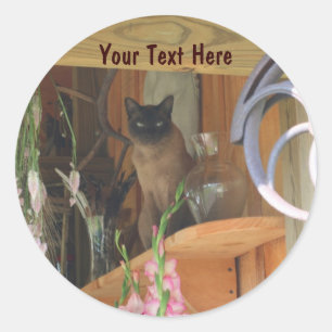 Siamese kat Posing Animal Fotografie sticker #2