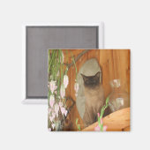 Siamese kat Posing Animal Photography Magnet #1 (Voorkant / Achterkant)