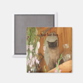 Siamese kat Posing Animal Photography Magnet #1 (Voorkant / Achterkant)