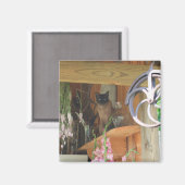 Siamese kat Posing Animal Photography Magnet #2 (Voorkant / Achterkant)