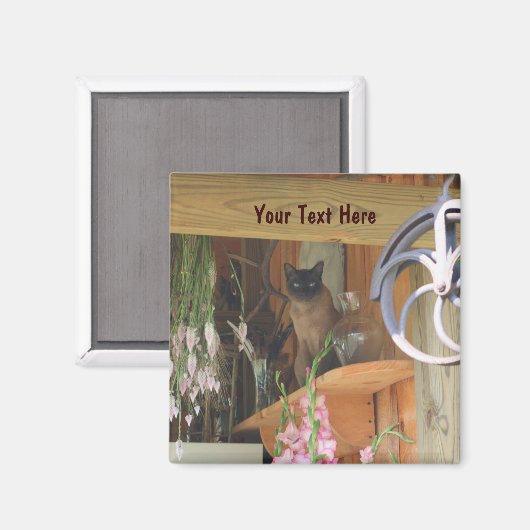 Siamese kat Posing Animal Photography Magnet #2 (Voorkant / Achterkant)