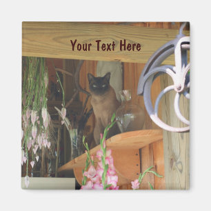 Siamese kat Posing Animal Photography Magnet #2