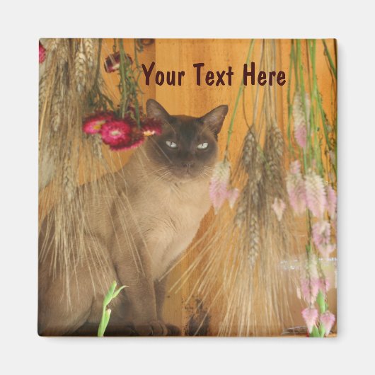 Siamese kat Posing Animal Photography Magnet #3 (Voorkant)