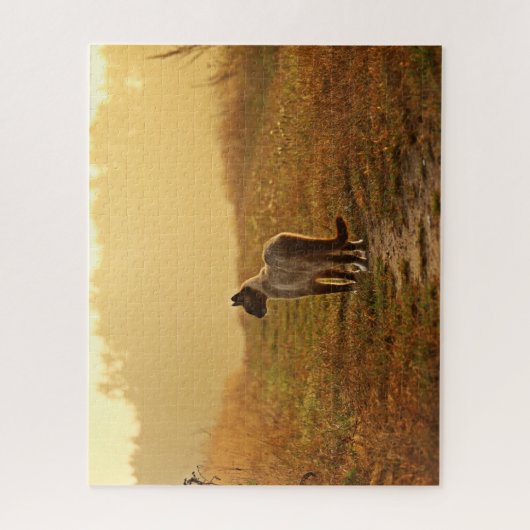 Siamese Kat Puzzel (Verticaal)