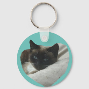 Siamese kat sluit de buis af. BG Colour Sleutelhan Sleutelhanger