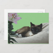 Siamese kat sluit DIY-Briefkaart af Briefkaart (Voorkant / Achterkant)