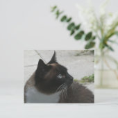 Siamese kat sluit DIY-Briefkaart af Feestdagenkaart (Staand voorkant)