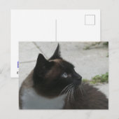 Siamese kat sluit DIY-Briefkaart af Feestdagenkaart (Voorkant / Achterkant)