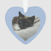 Siamese Kat Sluiten Ornament (voorkant)
