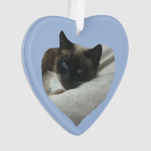 Siamese Kat Sluiten Ornament (voorkant)
