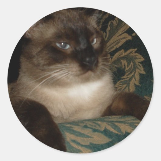 Siamese kat sticker met pruilgezicht (Voorkant)