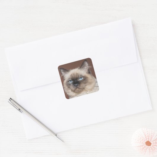 Siamese kat stickers (Envelop)